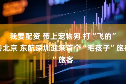 我要配资 带上宠物狗 打“飞的”去北京 东航深圳迎来首个“毛孩子”旅客