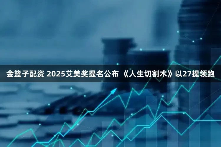 金篮子配资 2025艾美奖提名公布 《人生切割术》以27提领跑